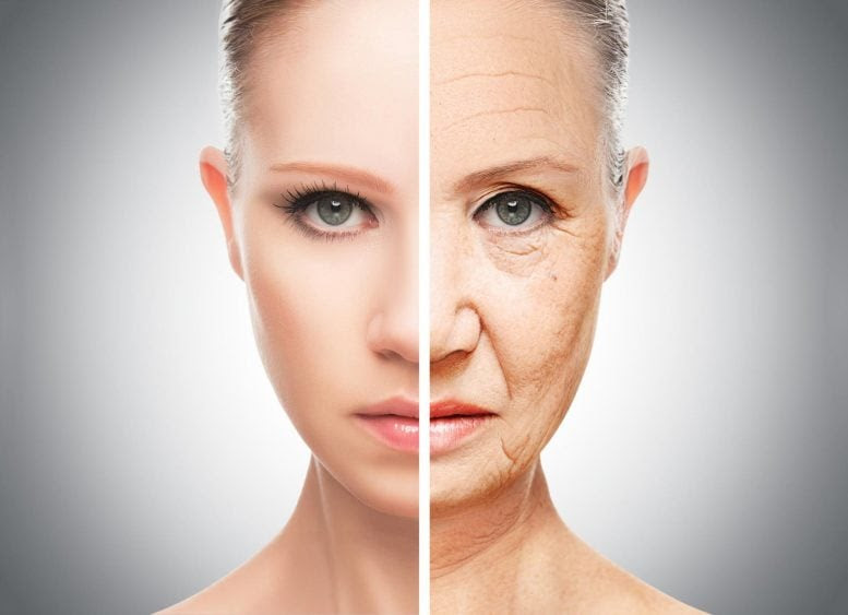 Reverse Aging