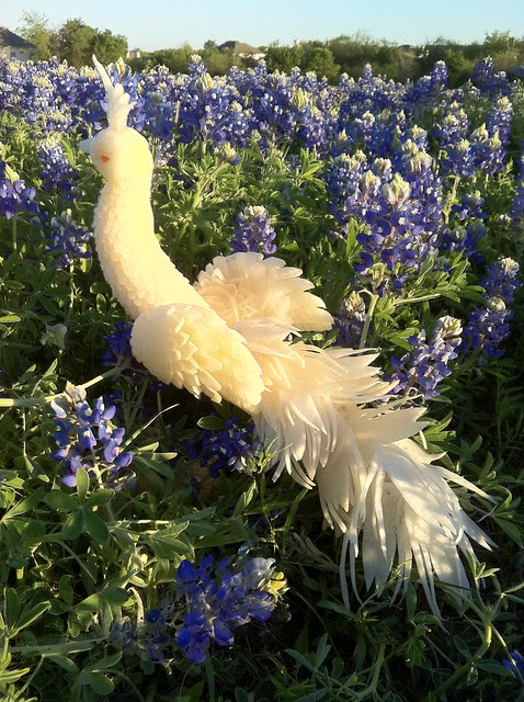 Posted Image