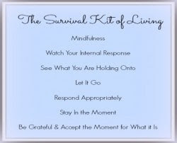 Seven Important Elements in The Survival Kit of Living