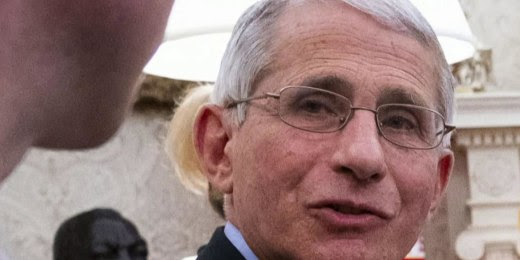 Coronavirus: Fauci warns reopening country too soon could cost lives