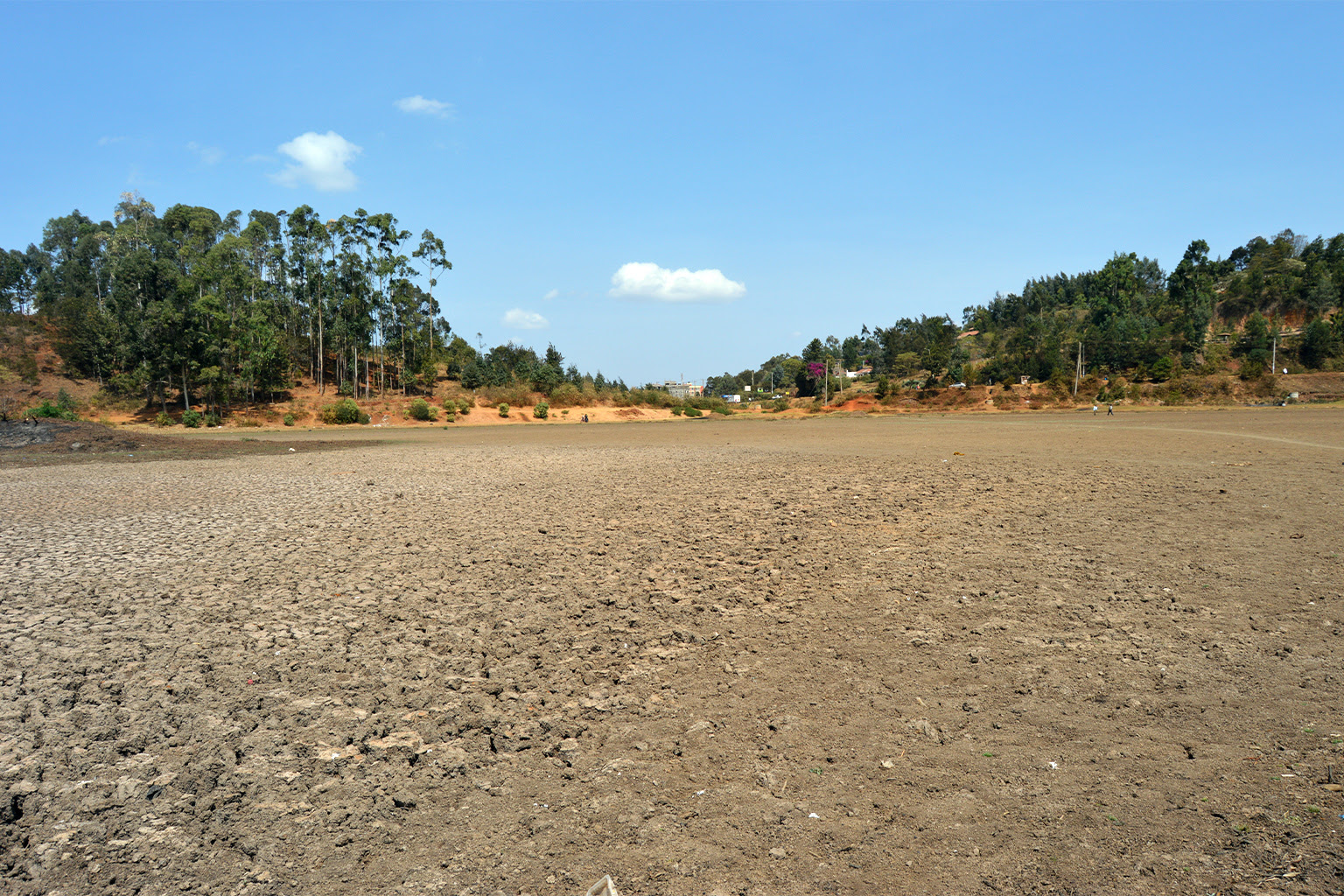 The Manguo swamp now is a desert-like depression, with only countable patches of green grass remaining.