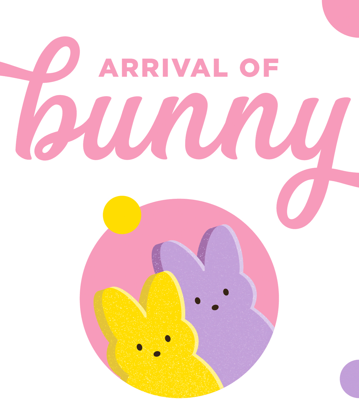 Arrival of Bunny