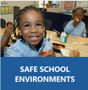 Safe School Environments