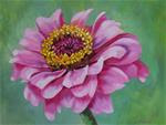 Pink Zinnia - Posted on Friday, April 3, 2015 by Donna Munsch