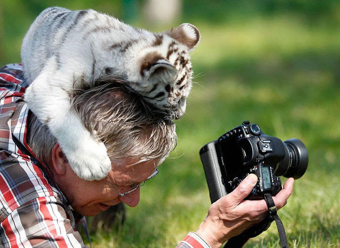 Les photographes animaliers... les animaux sentent leur bienveillance Nature-photographers31__700