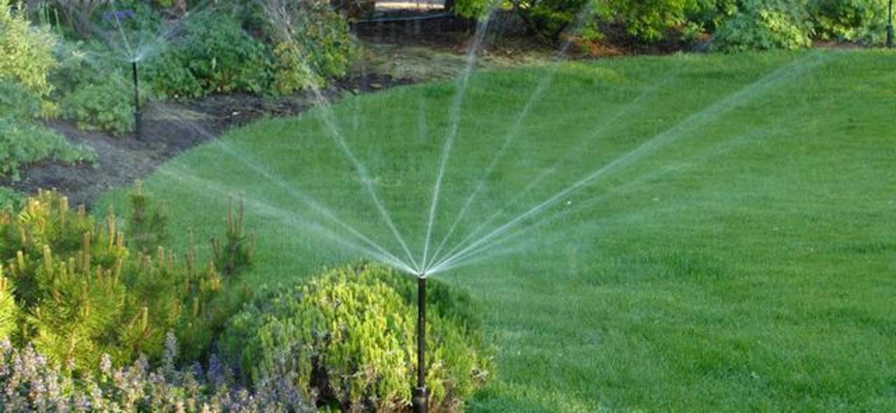 Water conservation tips