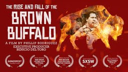 The Rise and Fall of the Brown Buffalo - Oscar Zeta Acosta: From Latino Activist to Dr. Gonzo