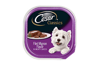 Cesar Classic Dog Food Recall