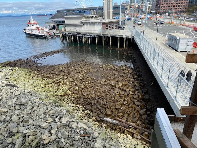 Colman Dock Shoreline opened