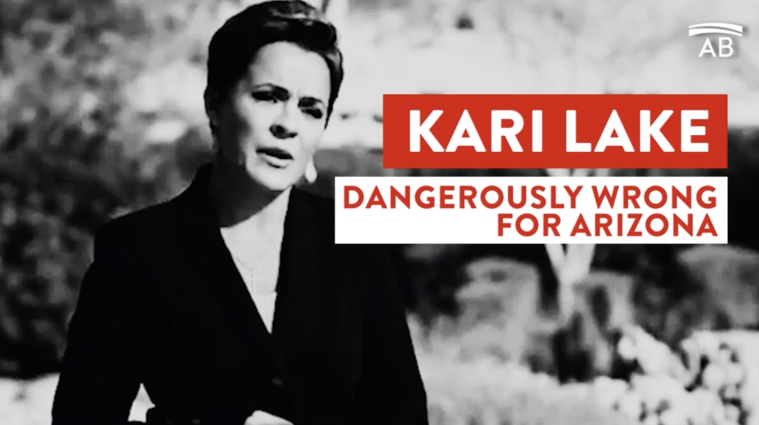 Kari Lake - Dangerous For Arizona THUMBNAIL.jpg