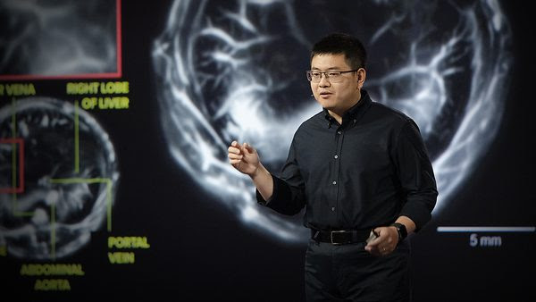 An idea from TED by Lei Li entitled The incredible cancer-detecting potential of photoacoustic imaging