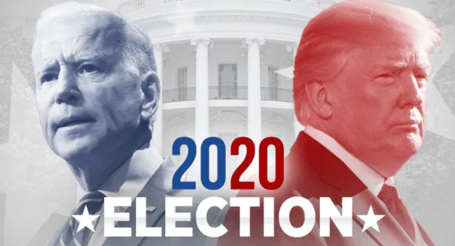 2020 election logo