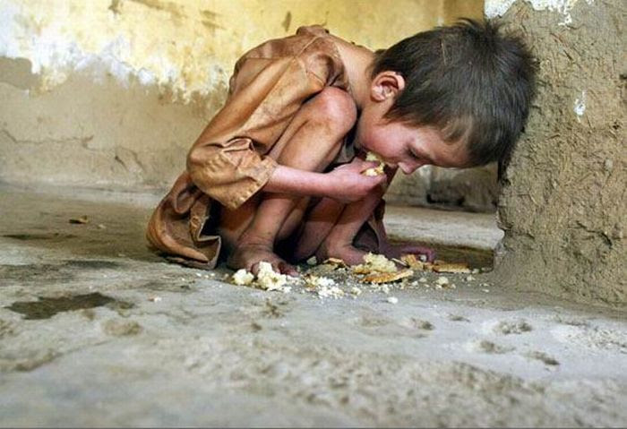 http://www.sott.net/image/s12/242464/full/starvation3.jpg