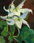 I'm a Sap (Green) for Lilies - Posted on Monday, March 30, 2015 by Patti McNutt