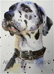 Painting Dogs in Watercolour – Great Dane Tutorial - Posted on Monday, January 19, 2015 by Alison Fennell