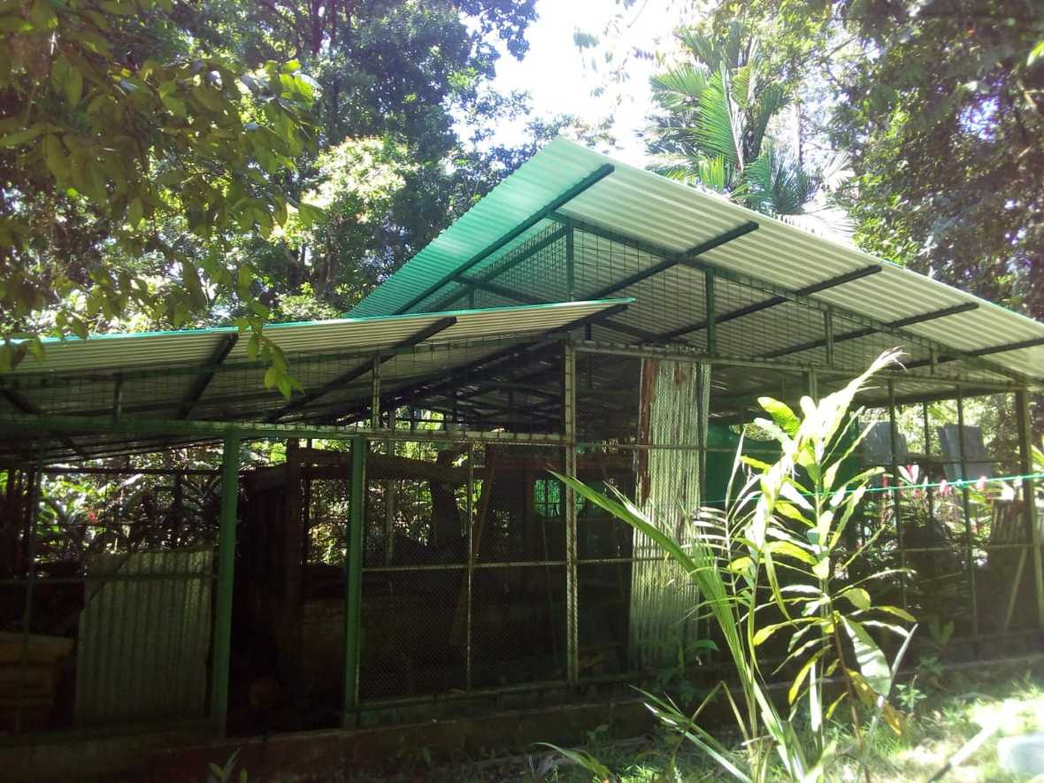 Building in the rainforest