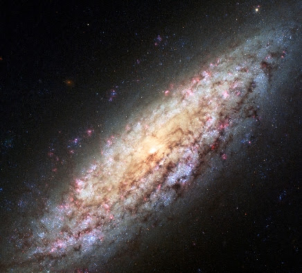 NGC 6503 A Spiral Galaxy "Lost in Space"