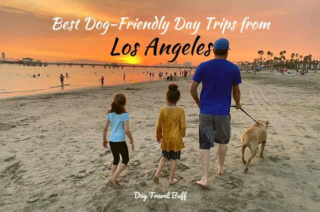 8 Best DogFriendly Day Trips From Los Angeles
