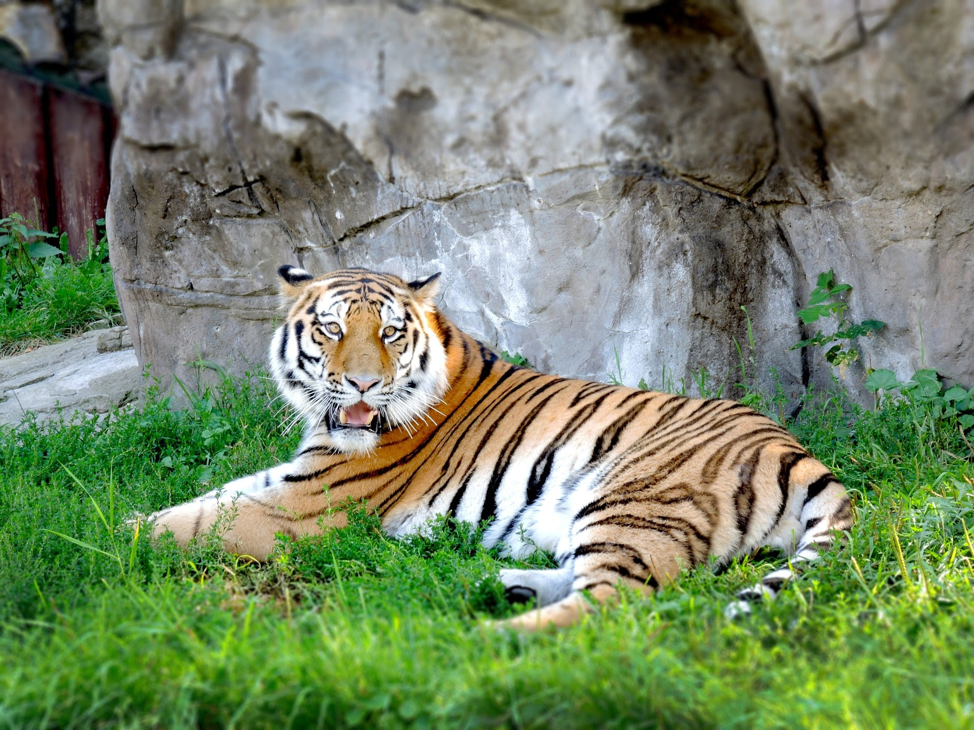 Top 15 Largest Zoos in the World by Area 2020