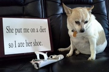 She put me on a diet SO ...... Shoe
