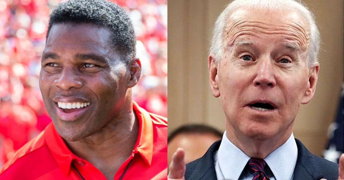 Herschel Walker Crashes Into Biden White House - The NFL Legend Sends The President Reeling
