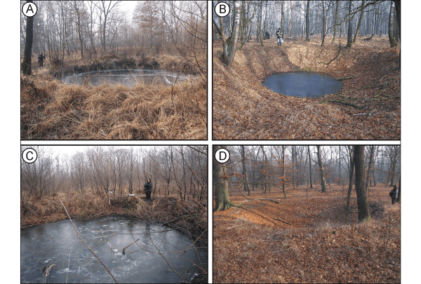 Craters: A) within the marsh; B) in the upper part of terrace; C) in the lower part of terrace; D) on the dune (photographs A, C & D by Jan Maciej Waga, B by Maria Fajer).Cortesía de Cambridge.org