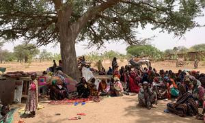 Народ Судана оказался в условиях гуманитарной катастрофы. 