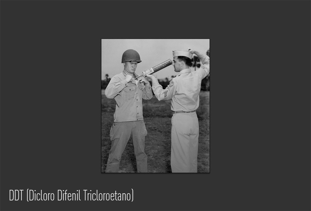 DDT (Dicloro Difenil Tricloroetano)