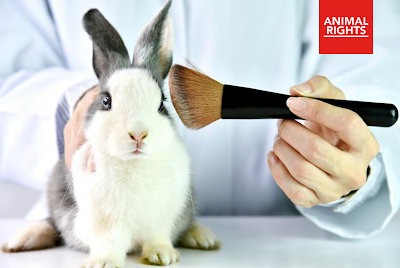 Foto: konijn met make-up kwast