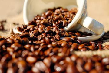 Suiza es potencial destino para el café peruano