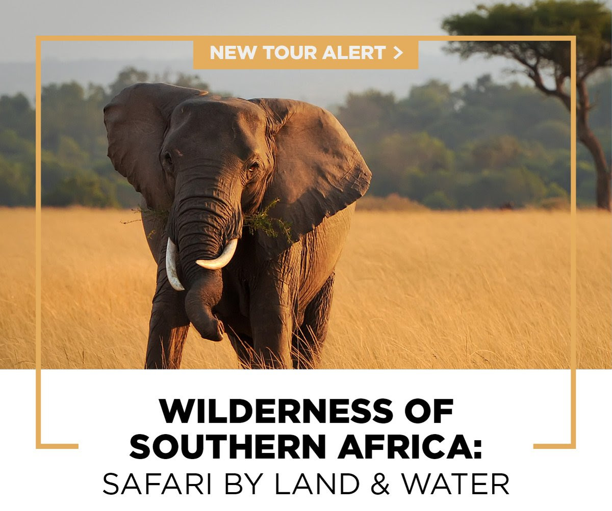Wilderness Of Southern Africa 