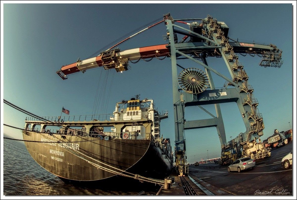 Infos - les Ports, et Infrastuctures maritimes Ob_67339e_northern-debonair-t9119