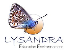 Association LYSANDRA
