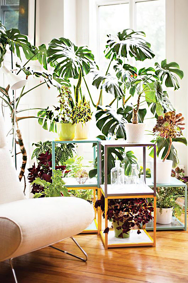 HOGARISIMO: 17 Ideas Para Decorar Tu Sala De Estar Con Plantas En Esta ...