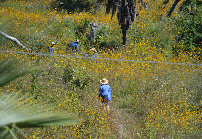 La comunidad de Carrizalillo en Guerrero. Foto: Cuartoscuro.