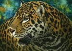 Jaguar: Amazon Series #4 - Posted on Tuesday, February 24, 2015 by Sandra LaFaut