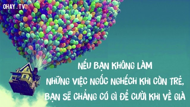 Nếu bạn không làm những việc ngốc nghếch khi còn trẻ, bạn sẽ chẳng có gì để cười khi về già,suy ngẫm,câu nói hay,triết lý cuộc sống