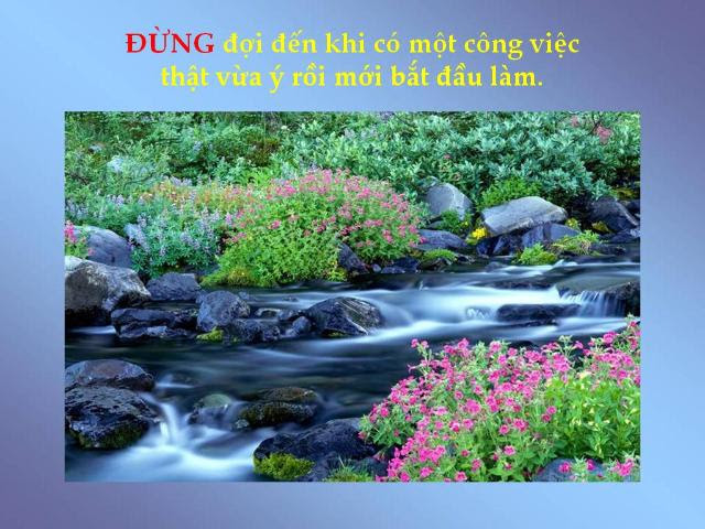 http://www.dongcong.net/photogallery/Cham-Ngon_CS/cs_clip_image020.jpg