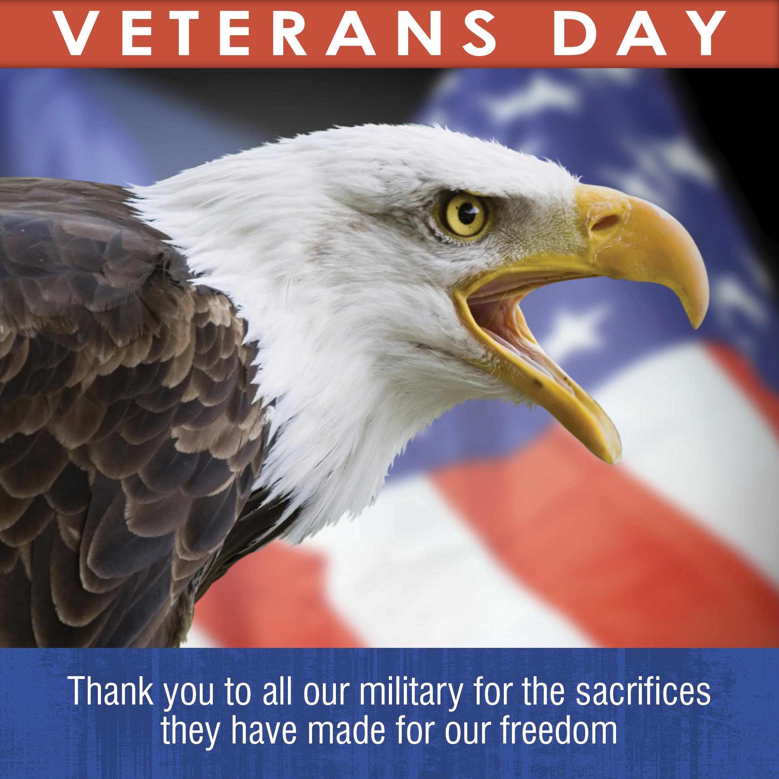 veterans_day.jpg