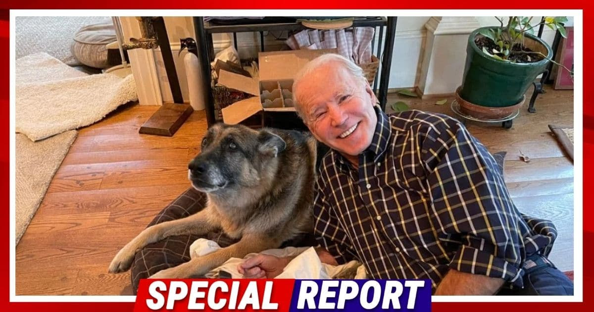 Joe Biden Caught In Massive Lie About His Dog - Major's Attacks Were Far Worse Than Anyone Suspected