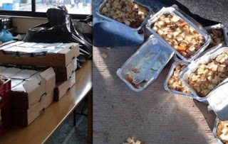 Μαρτυρία - ΣΟΚ: Οι λαθρομετανάστες πετάνε στα σκουπίδια τα δωρεάν γεύματα του Τσίπρα ενώ οι έλληνες πεινάνε [photos] - Φωτογραφία 1