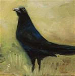Grackle - Posted on Tuesday, February 17, 2015 by Jane Frederick