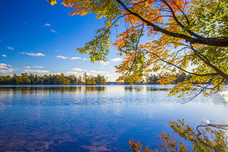 A very bright and colorful scene from Ludington State Park is shown.