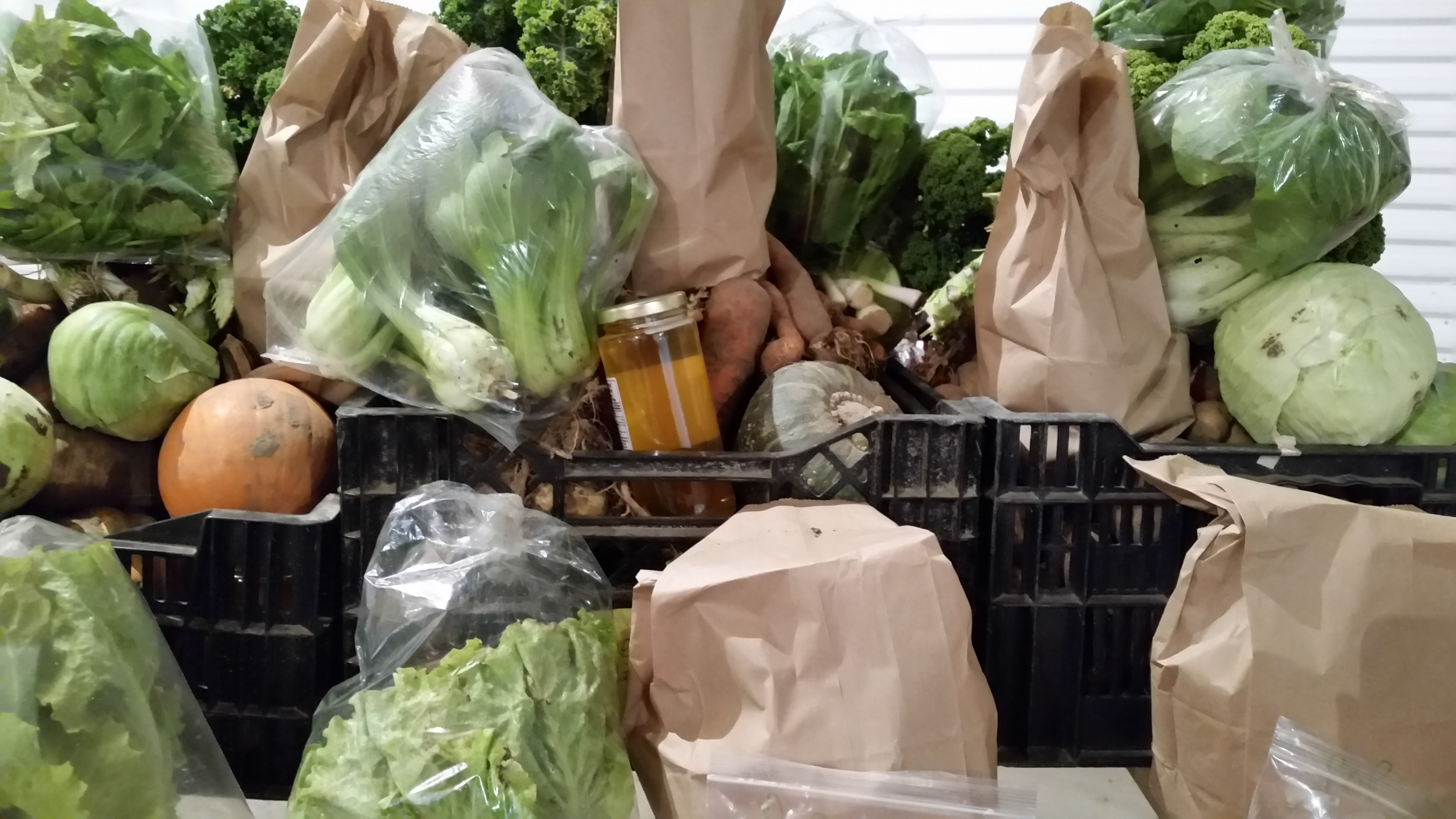Certified Organic Vegetables