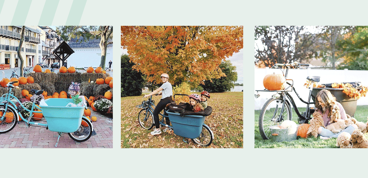 So many fun fall options