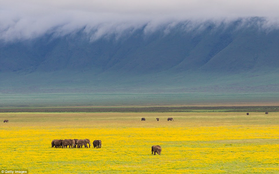 Ngorongoro Crater, Tanzania: At 610m deep and 260sq-km, this is the largest unflooded caldera in the world. A blue-green vision from above, it's a haven for endangered wildlife and maasai livestock 