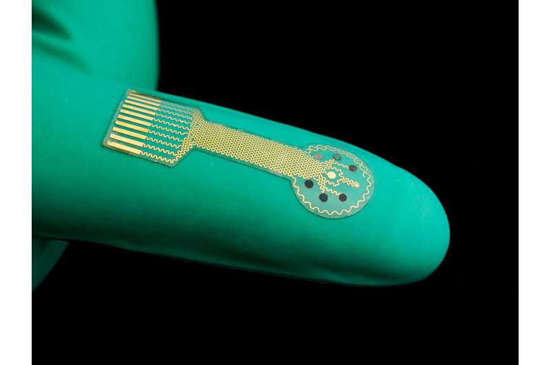 'Smart' bandages monitor wounds and provide targeted treatment