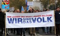 Small blog rostock afd