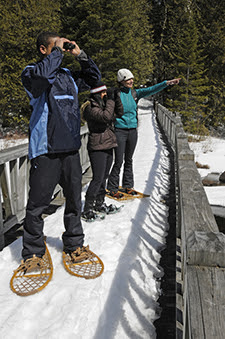Some people snowshoeing
