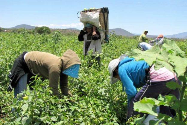 Las transformaciones en el campo latinoamericano